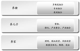 華彩管理咨詢 基于投資與產(chǎn)業(yè)組合戰(zhàn)略的集團管控——引領(lǐng)集團類咨詢服務(wù)