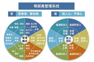 溫州企業(yè)管理咨詢 為何朗歐是您駐廠咨詢的卓越之選？
